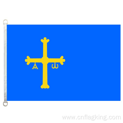 100% polyster 90*150CM Asturias banner Asturias flags